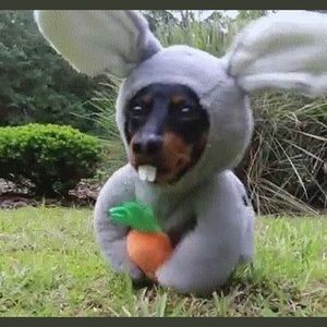 Meet your Posher, Cybermushroom